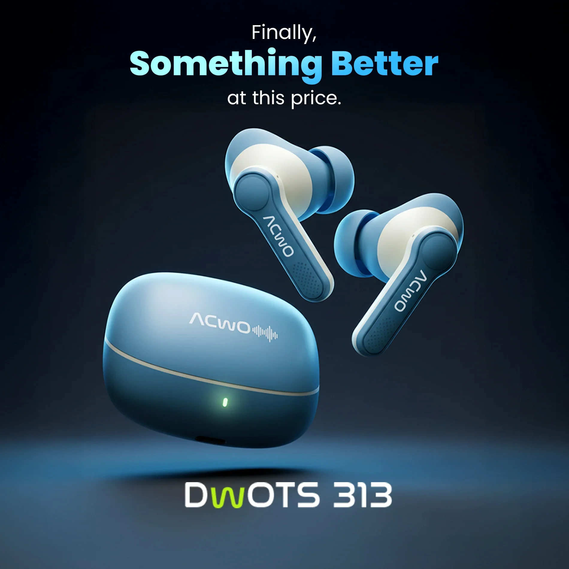 DwOTS 313 - Image 2