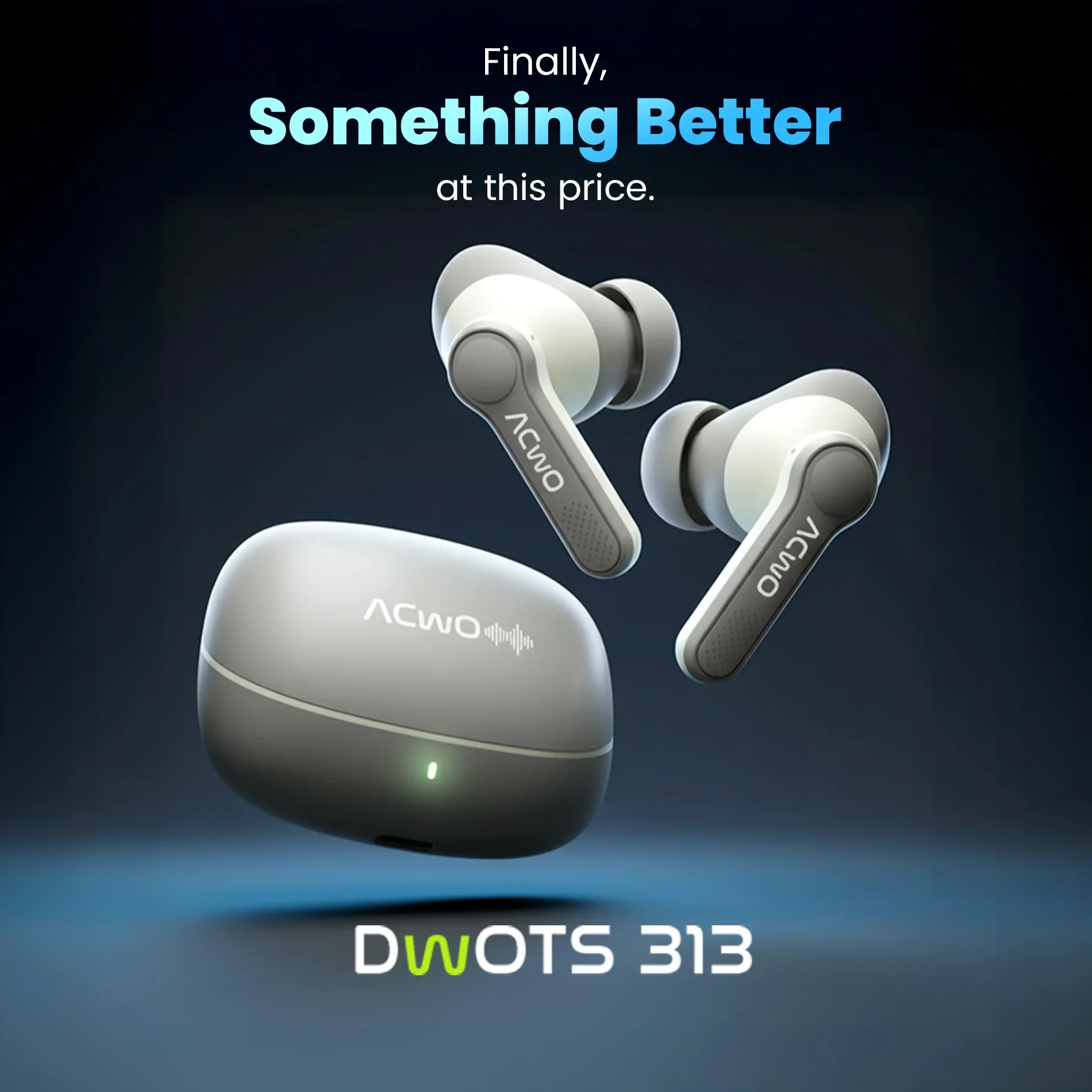DwOTS 313 - Image 11
