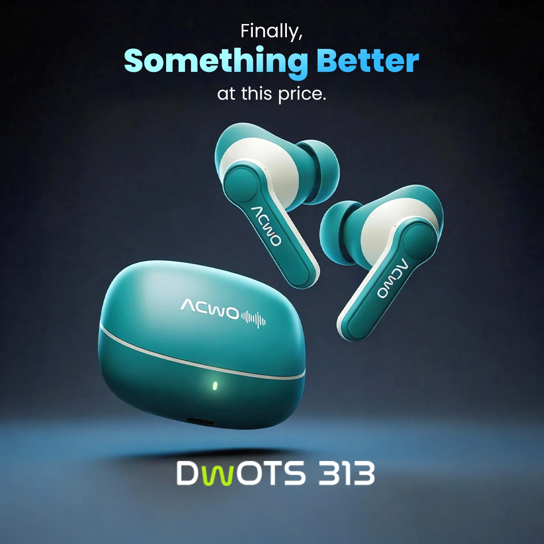 DwOTS 313 - Image 18